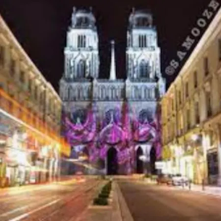 Chaleureux Appart, Proche De La Loire Avec Parking Orléans Extérieur photo